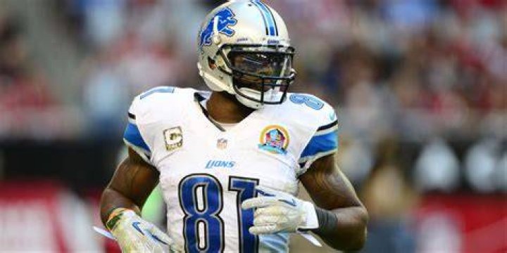 Calvin Johnson